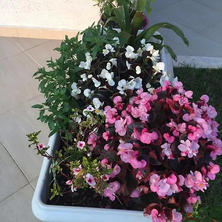 Apartment Sunset House *