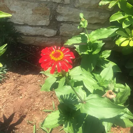 Sunset House Apartment Ksamil