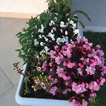 דירה Sunset House *