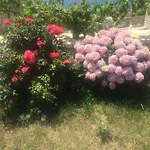 דירה Sunset House קסאמיל