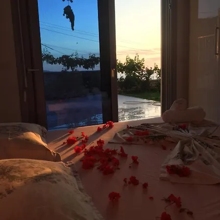 Sunset House *