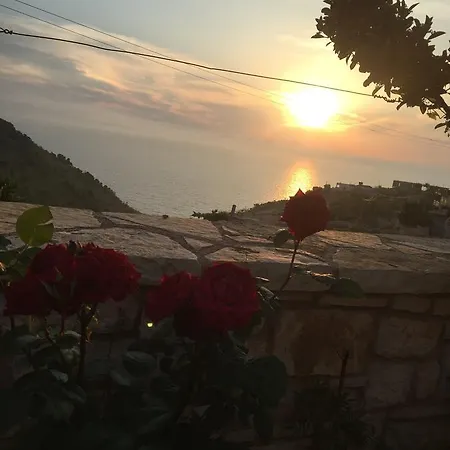 Sunset House