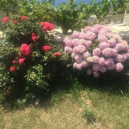 Appartamento Sunset House Ksamil